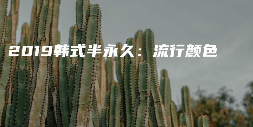 2019韓式半永久：流行顏色插圖