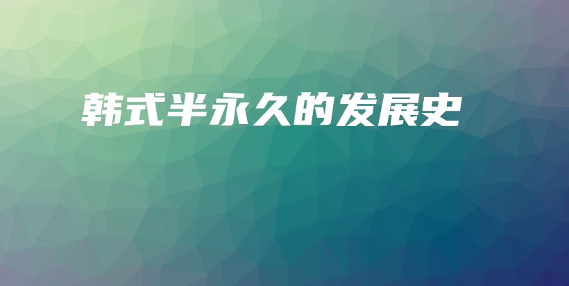 韓式半永久的發(fā)展史插圖