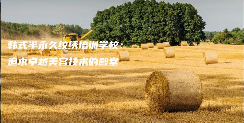 韓式半永久紋繡培訓學校：追求卓越美容技術的殿堂插圖