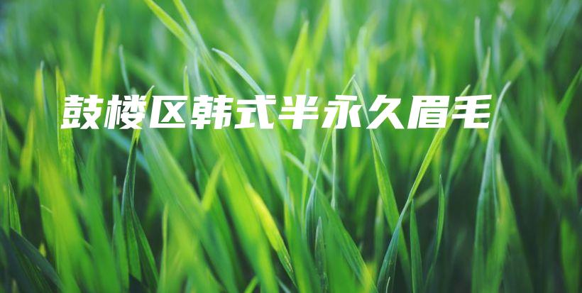鼓樓區(qū)韓式半永久眉毛插圖