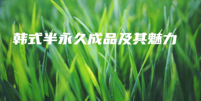 韓式半永久成品及其魅力插圖