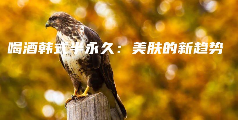 喝酒韓式半永久：美膚的新趨勢(shì)插圖