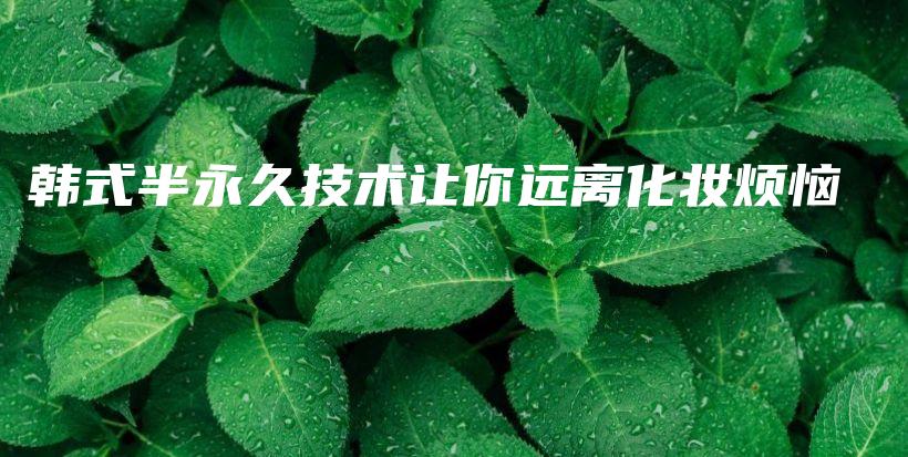 韓式半永久技術(shù)讓你遠(yuǎn)離化妝煩惱插圖