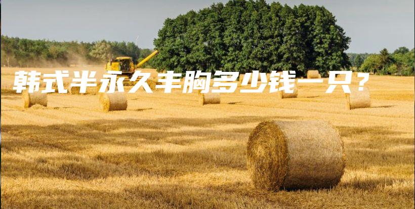 韓式半永久豐胸多少錢一只？插圖