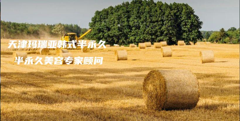 天津瑪瑞亞韓式半永久 – 半永久美容專家顧問插圖