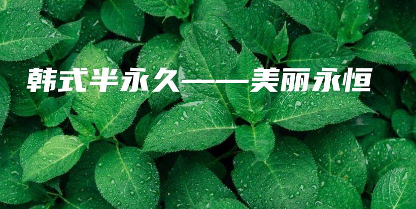 韓式半永久——美麗永恒插圖