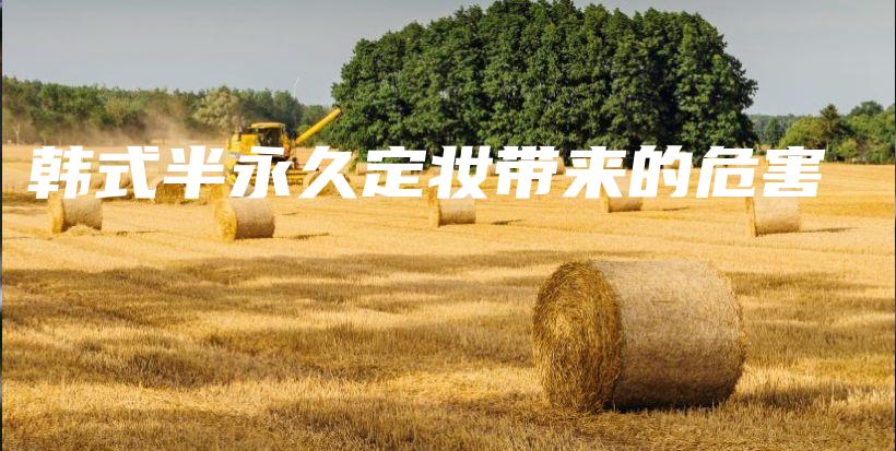韓式半永久定妝帶來的危害插圖