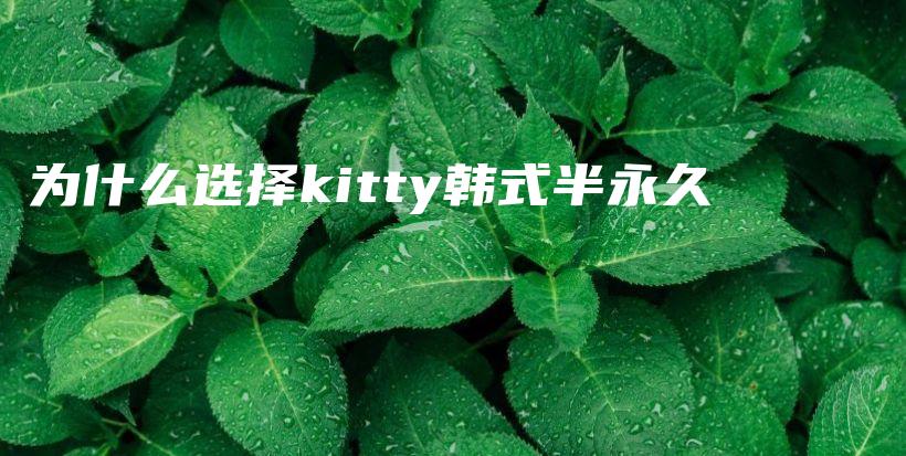 為什么選擇kitty韓式半永久插圖