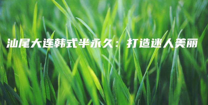 汕尾大連韓式半永久：打造迷人美麗插圖