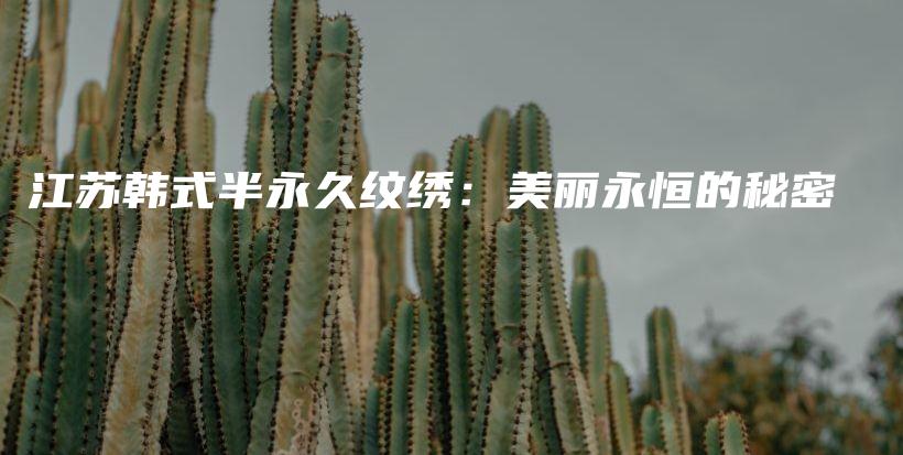 江蘇韓式半永久紋繡：美麗永恒的秘密插圖