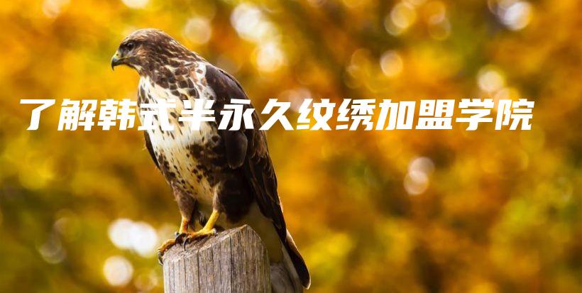 了解韓式半永久紋繡加盟學(xué)院插圖