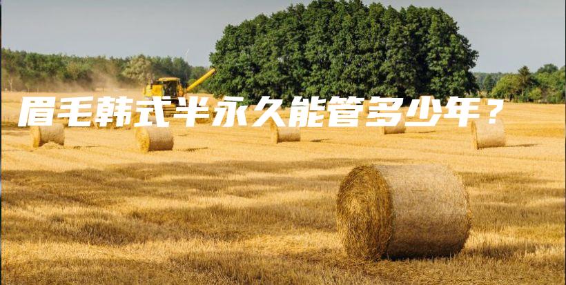 眉毛韓式半永久能管多少年？插圖