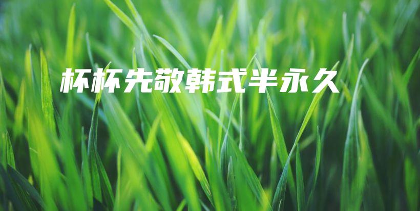 杯杯先敬韓式半永久插圖