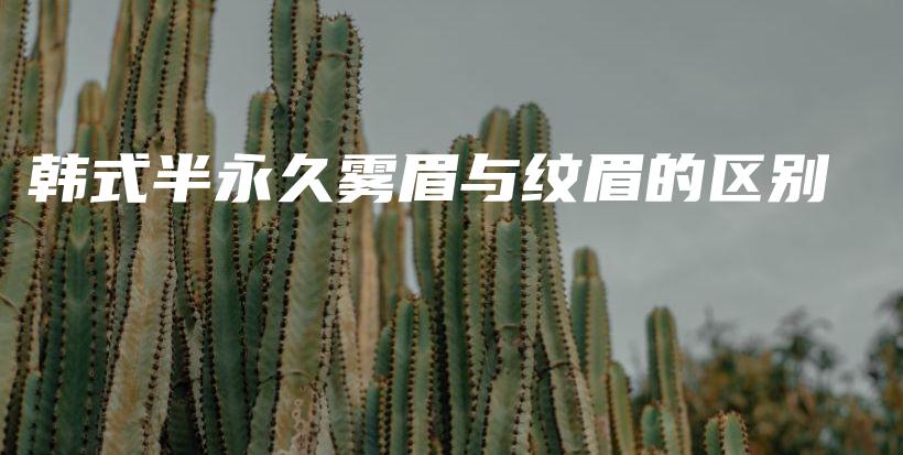 韓式半永久霧眉與紋眉的區(qū)別插圖