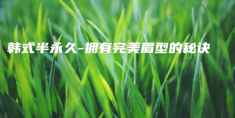 韓式半永久-擁有完美眉型的秘訣插圖