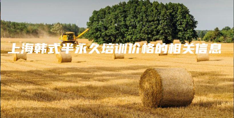 上海韓式半永久培訓價格的相關信息插圖