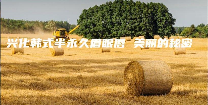 興化韓式半永久眉眼唇 美麗的秘密插圖