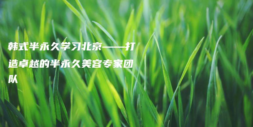 韓式半永久學(xué)習(xí)北京——打造卓越的半永久美容專家團隊插圖