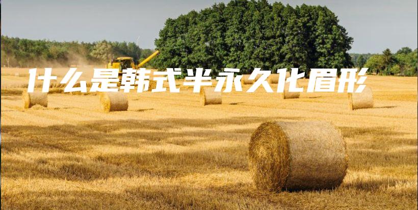 什么是韓式半永久化眉形插圖