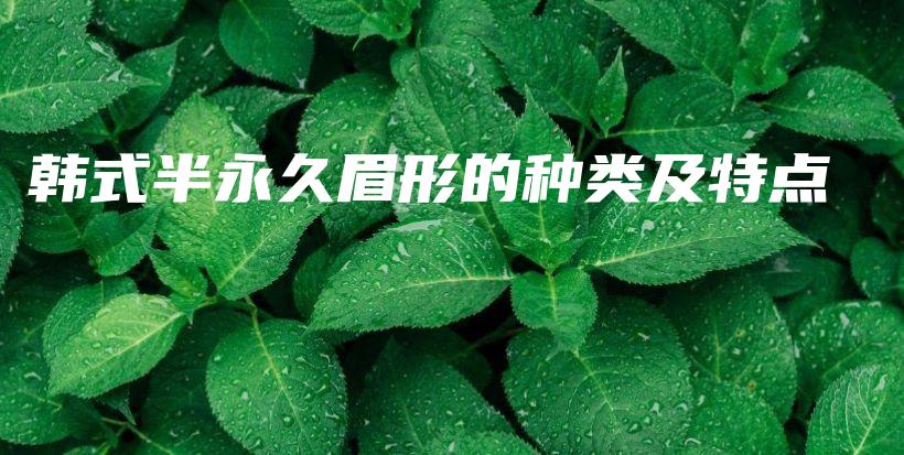 韓式半永久眉形的種類及特點插圖