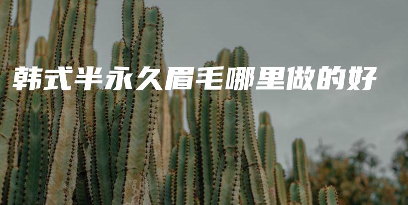 韓式半永久眉毛哪里做的好插圖