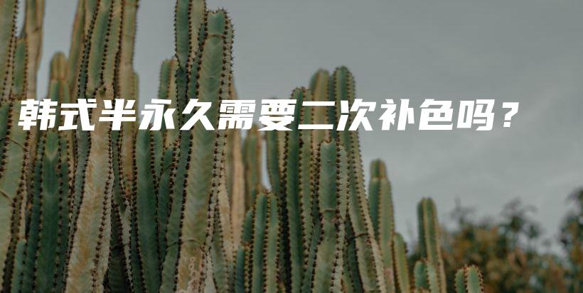 韓式半永久需要二次補(bǔ)色嗎？插圖