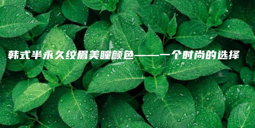 韓式半永久紋眉美瞳顏色——一個(gè)時(shí)尚的選擇插圖