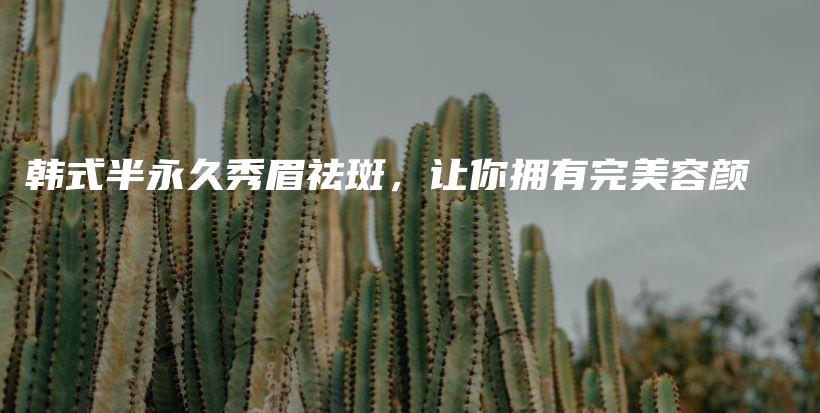 韓式半永久秀眉祛斑，讓你擁有完美容顏插圖
