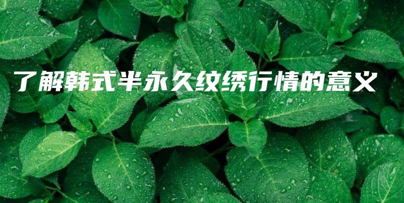 了解韓式半永久紋繡行情的意義插圖