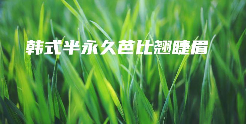 韓式半永久芭比翹睫眉插圖