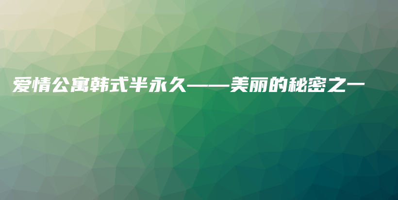 愛情公寓韓式半永久——美麗的秘密之一插圖