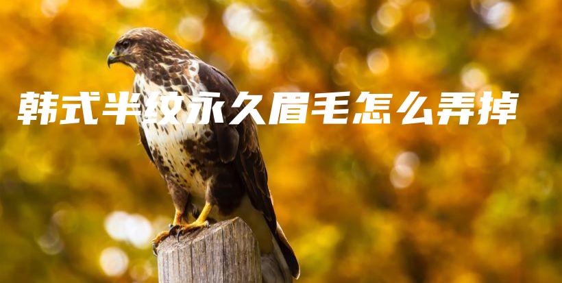 韓式半紋永久眉毛怎么弄掉插圖