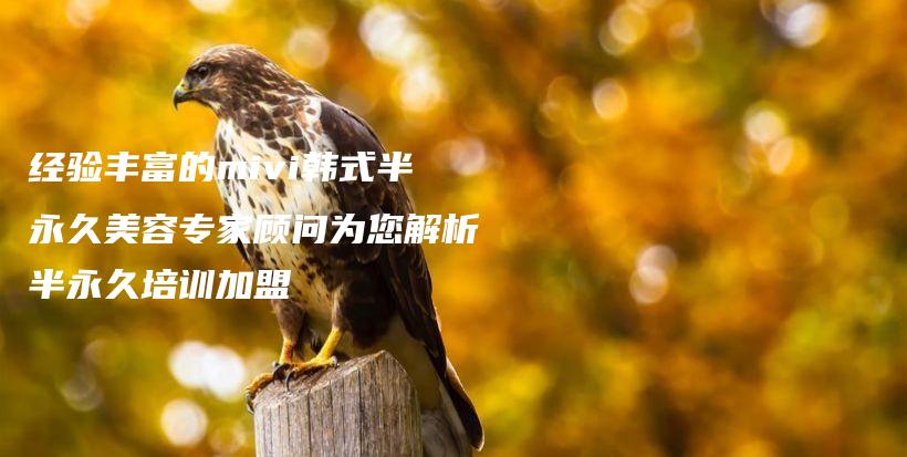 經(jīng)驗豐富的mivi韓式半永久美容專家顧問為您解析半永久培訓(xùn)加盟插圖