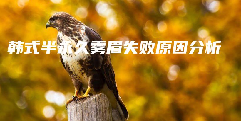 韓式半永久霧眉失敗原因分析插圖