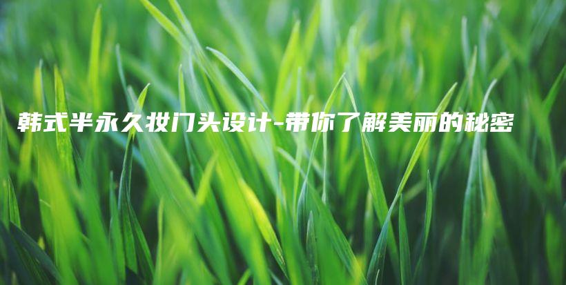 韓式半永久妝門頭設(shè)計-帶你了解美麗的秘密插圖