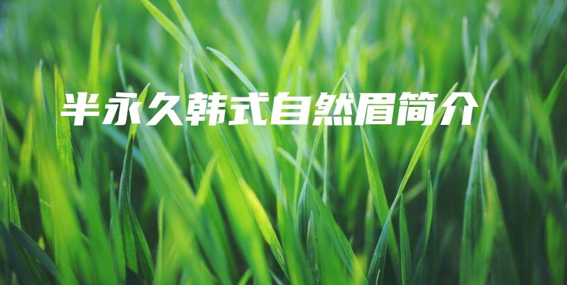 半永久韓式自然眉簡介插圖