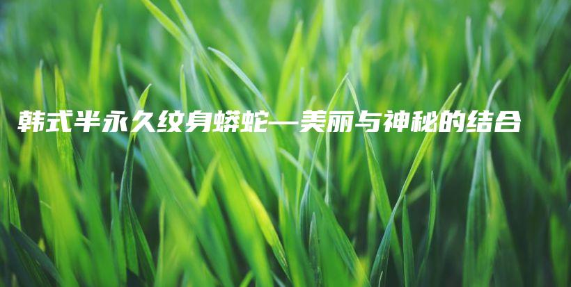 韓式半永久紋身蟒蛇—美麗與神秘的結(jié)合插圖