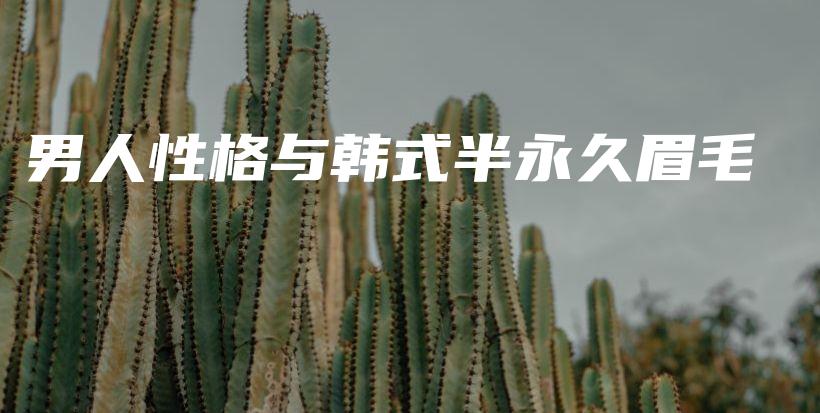男人性格與韓式半永久眉毛插圖