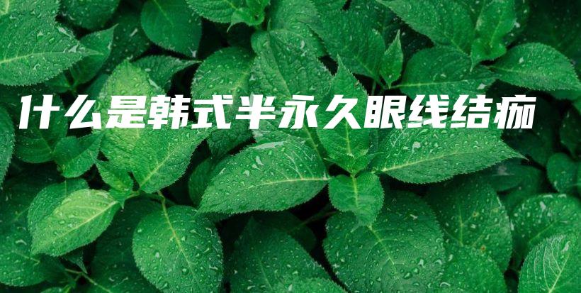 什么是韓式半永久眼線結(jié)痂插圖