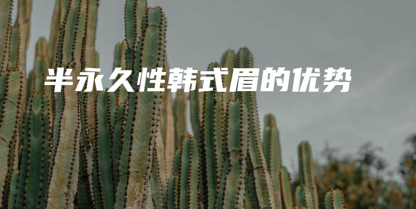 半永久性韓式眉的優(yōu)勢(shì)插圖