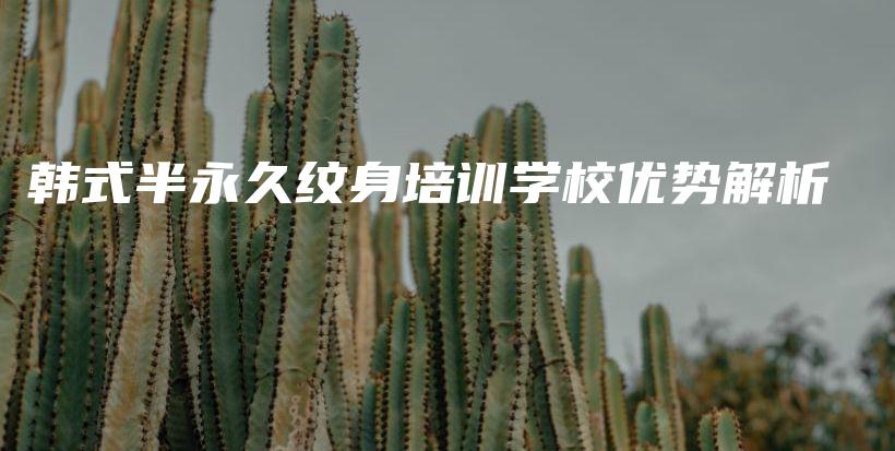 韓式半永久紋身培訓(xùn)學(xué)校優(yōu)勢解析插圖