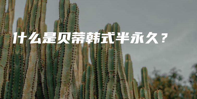 什么是貝蒂韓式半永久？插圖