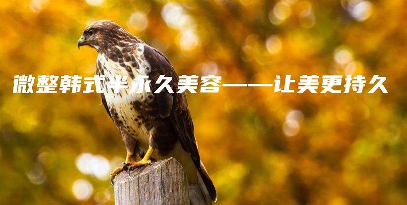 微整韓式半永久美容——讓美更持久插圖