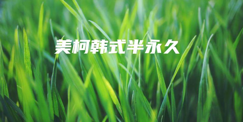 美柯韓式半永久插圖
