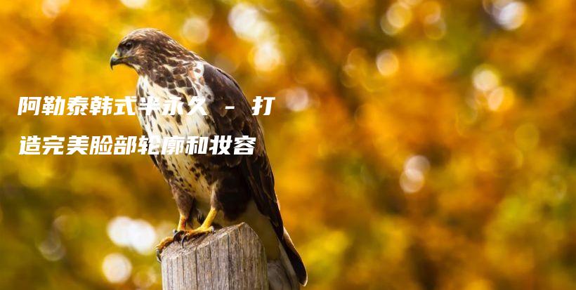 阿勒泰韓式半永久 – 打造完美臉部輪廓和妝容插圖