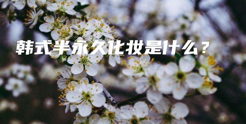 韓式半永久化妝是什么？插圖
