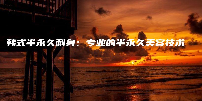 韓式半永久刺身：專業(yè)的半永久美容技術(shù)插圖