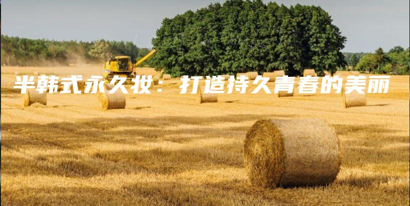 半韓式永久妝：打造持久青春的美麗插圖