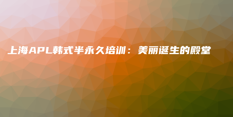 上海APL韓式半永久培訓(xùn)：美麗誕生的殿堂插圖