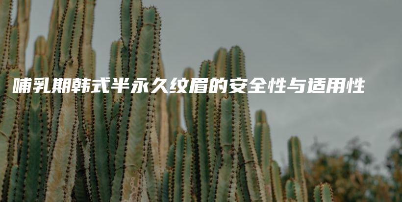 哺乳期韓式半永久紋眉的安全性與適用性插圖